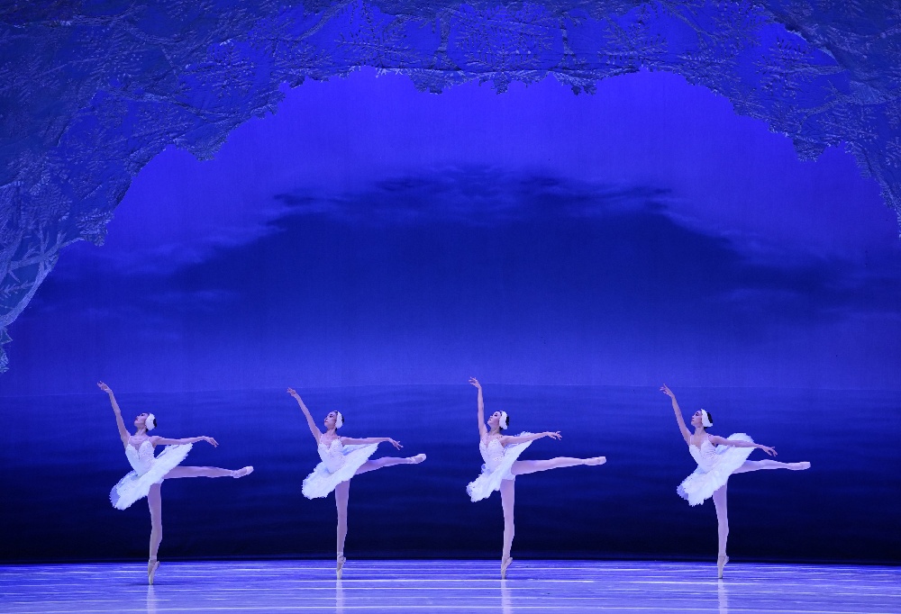 2023天鹅湖 (4).jpg