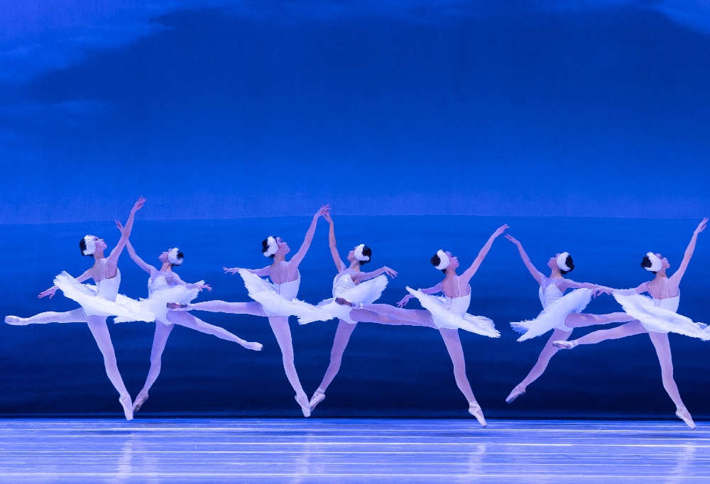 2023天鹅湖 (5).jpg