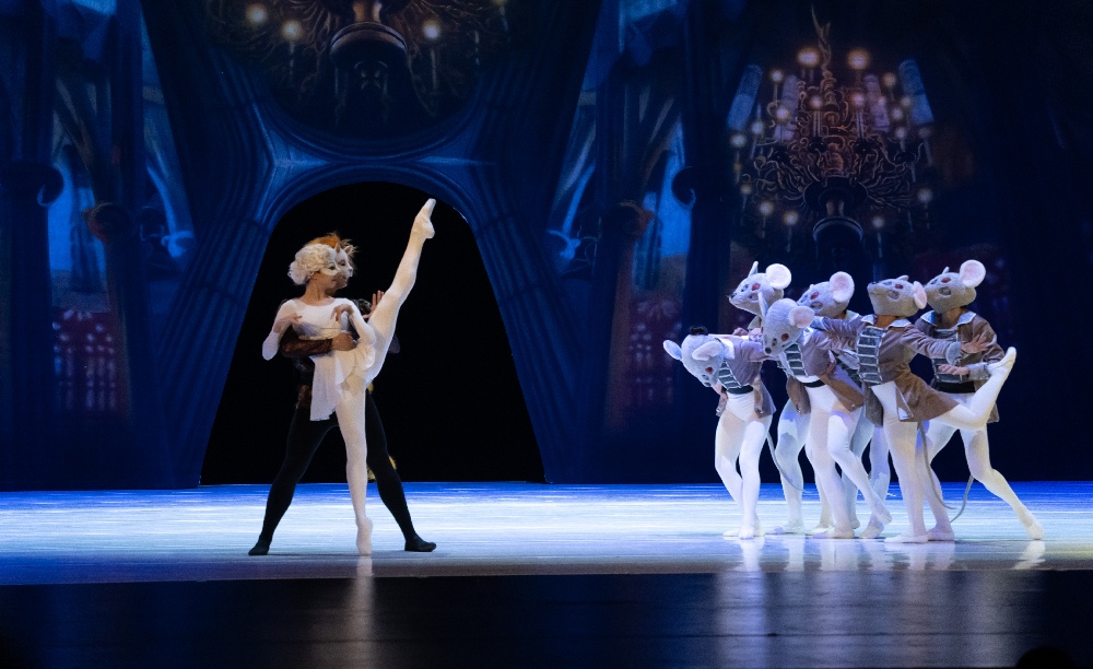 动物狂欢曲 (6).jpg