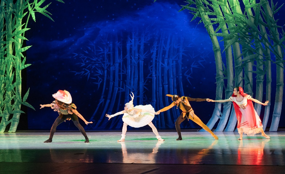 动物狂欢曲 (7).jpg