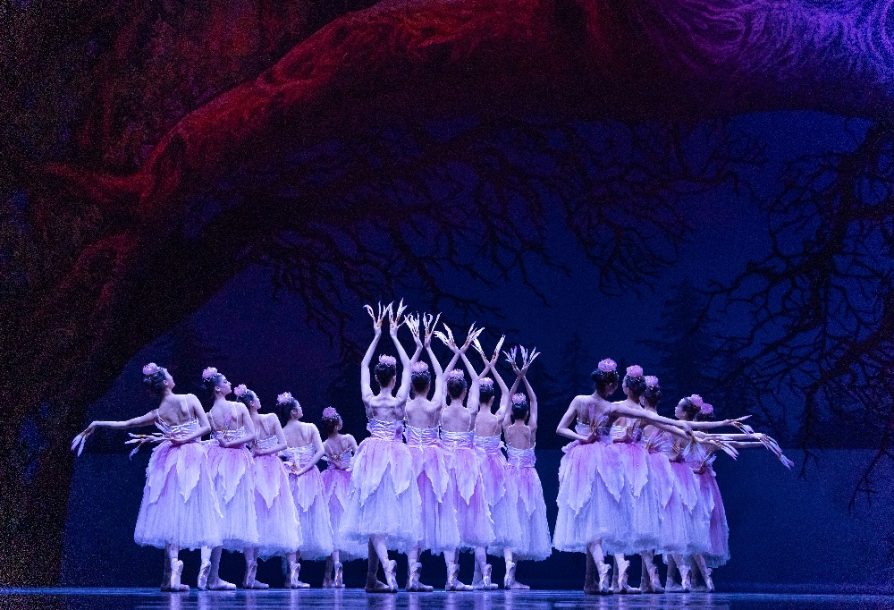 追寻香格里拉2024 (16).jpg