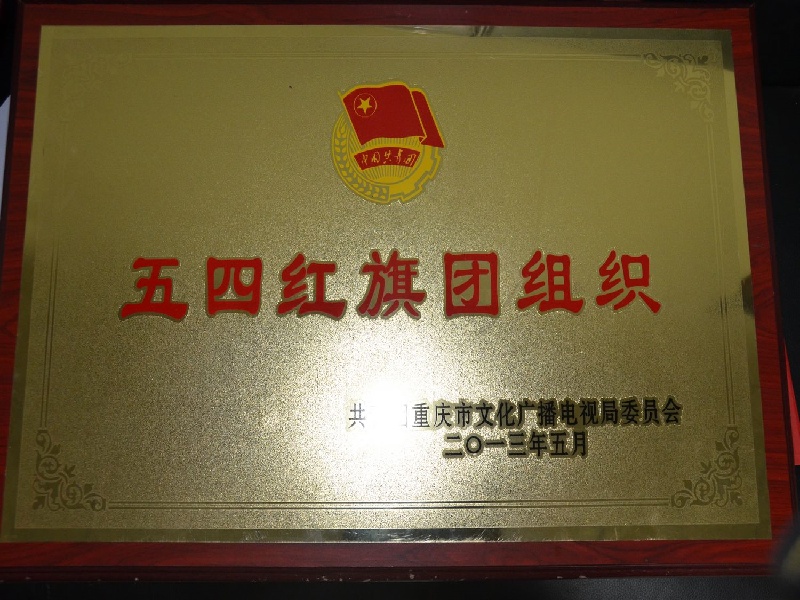 2013五四红旗团组织1.jpg