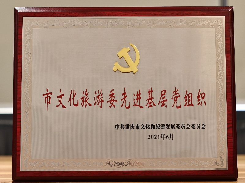 2021年市文化旅游委先进基层党组织.jpg